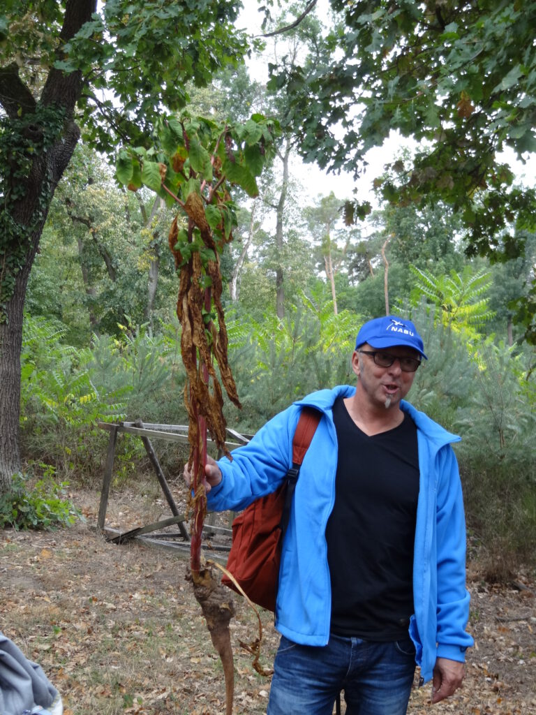 Führung durch den Oftersheimer Wald